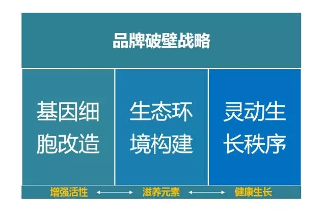品牌升級必看的四大策略！.jpg